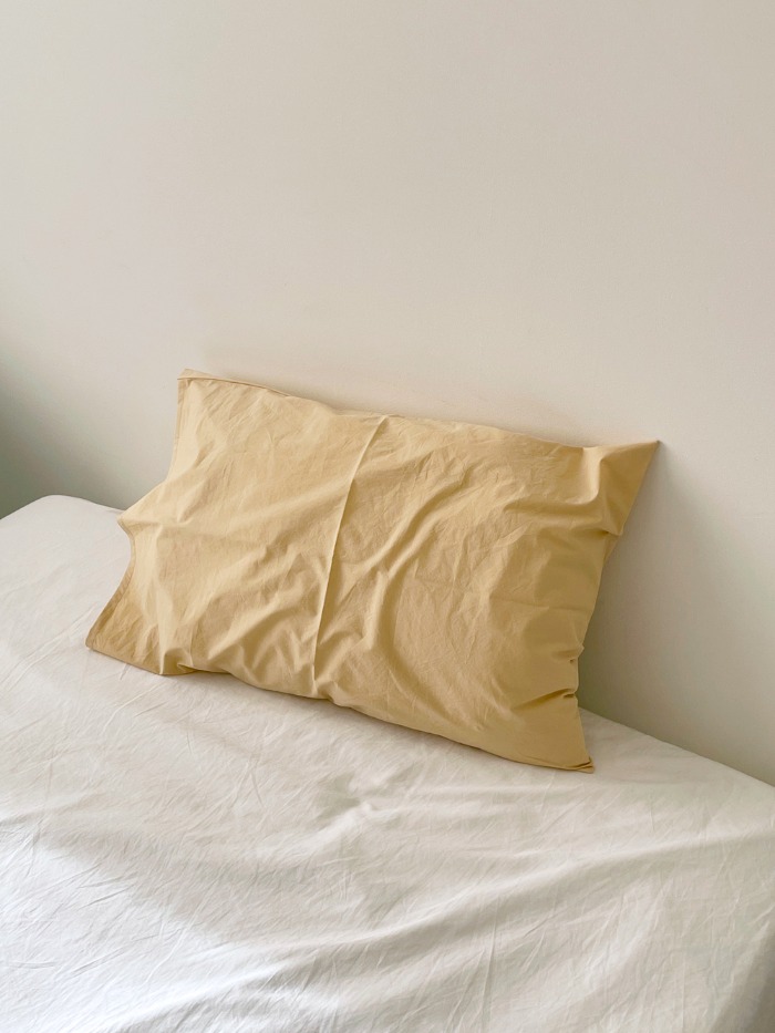 Cheese pillow cover