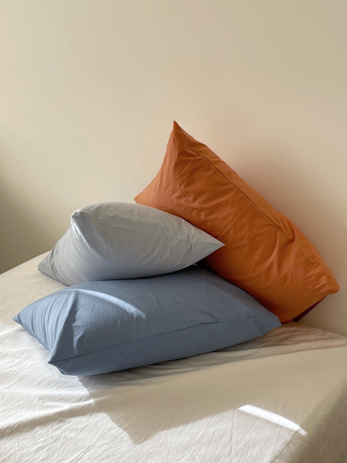 Parisian Blue pillow cover